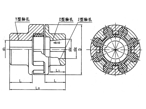 ML型梅花形彈性聯(lián)軸器系列